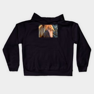 Assateague Pony Eyes Kids Hoodie